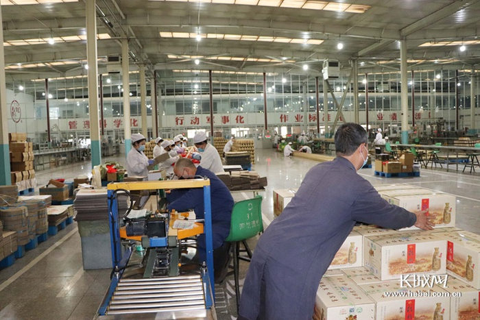 泥坑酒业生产经营工作已全部恢复正常。通讯员 供图