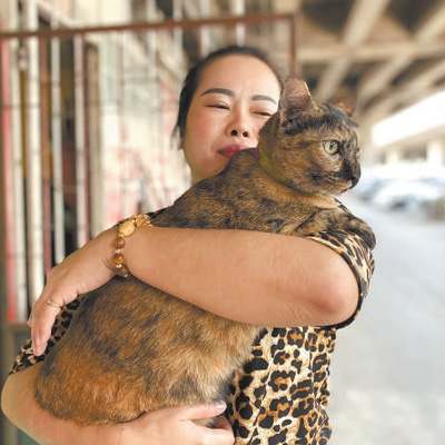 　　泰国曼谷孔提县的一名居民怀抱着宠物猫。
