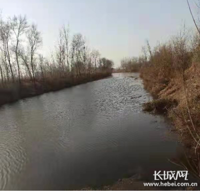 　吴桥县东部引水河渠沿线再现“沟满壕平”景象。吴桥县水务局 供图