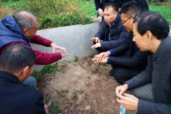 在晋江市郊的一块红薯地旁，王传林（右3）、庄鸿志（右2），以及厦门市第五医院急诊部李永武（右1）一行实地考察田地里的红火蚁蚁丘。健康时报记者牛宏超／摄