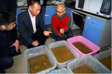 华南农业大学红火蚁研究中心主任陆永跃教授（右1）在跟王传林一行介绍，实验室如何将取回的红火蚁从土里提取出来。健康时报记者牛宏超／摄