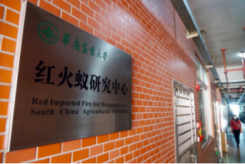 华南农业大学红火蚁研究中心。健康时报记者牛宏超／摄