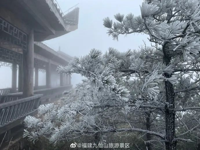 资料图（via@福建九仙山旅游景区）