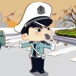 （图片来源网络）
