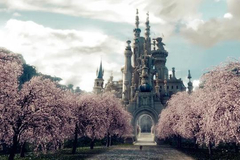 涉嫌内幕交易、董事长被立案调查，格力地产股价“现原形”？