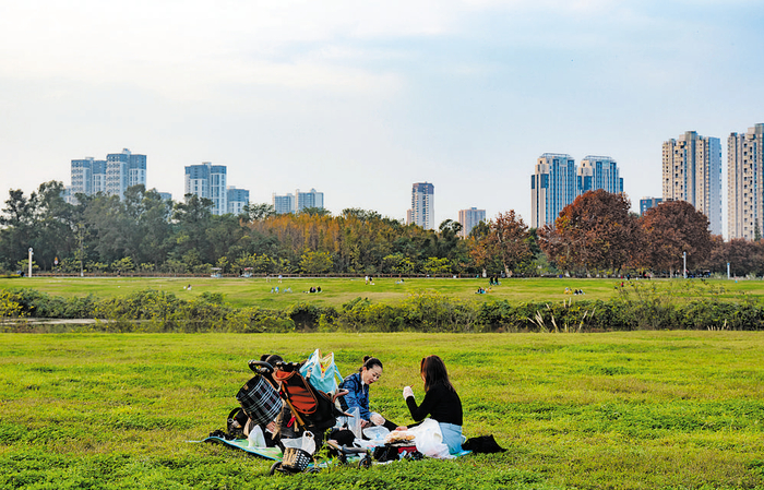 市民在青龙湖湿地公园享受草地阳光 记者 胡大田 摄