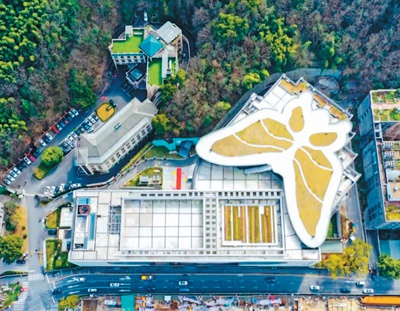 俯瞰“蝴蝶剧场”　　百越文创供图