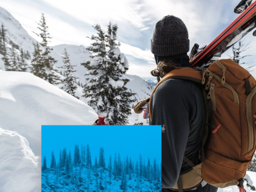 图片来源：威富集团官方