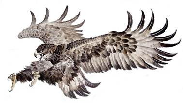 《大展宏图》鱼皮浮雕画