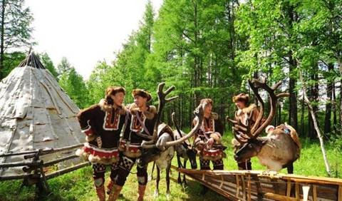 中国最后的驯鹿部落——敖鲁古雅