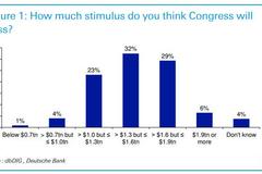 华尔街激辩：拜登的财政刺激到底会过大还是过小？