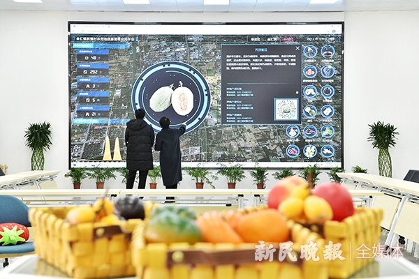 图说：智慧兴农驿站内的电子屏可分级展示全区、全镇、全村的农业布局与经营现状。孙中钦 摄