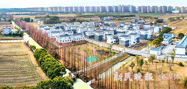 图说：奉贤区金汇镇新强村。孙中钦 摄