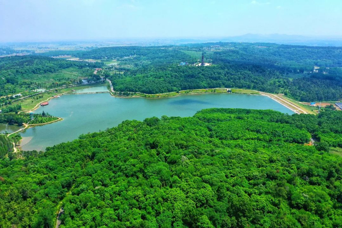 南京六合平山森林公园。图片来源：紫金山新闻