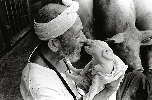 ©️ToshiteruYamaji