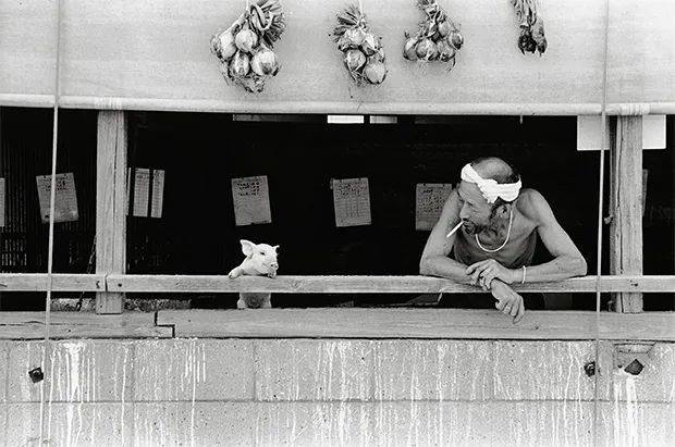 ©️ToshiteruYamaji