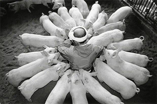 ©️ToshiteruYamaji