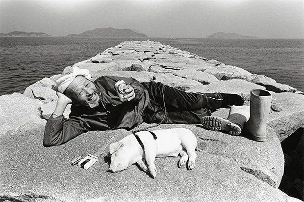 ©️ToshiteruYamaji