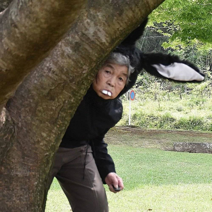 ©️ Kimiko Nishimoto