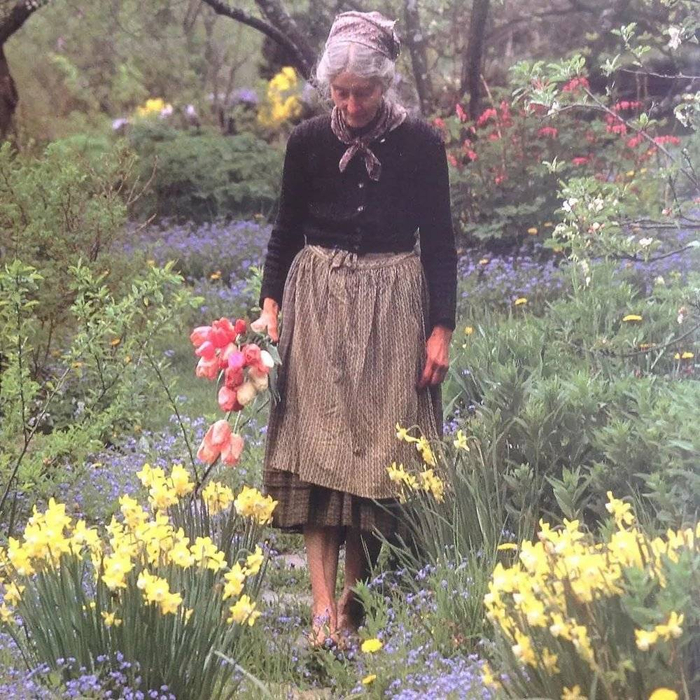 ©️TheTasha Tudor Family