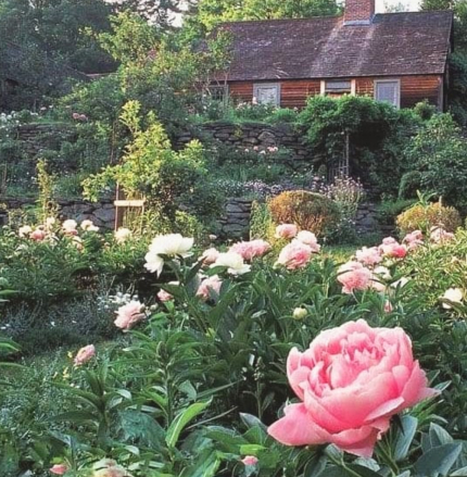  ©️The Tasha Tudor Family