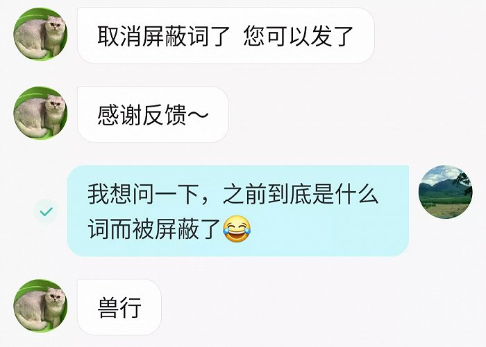 工作人员解答用户问题，图源受访者