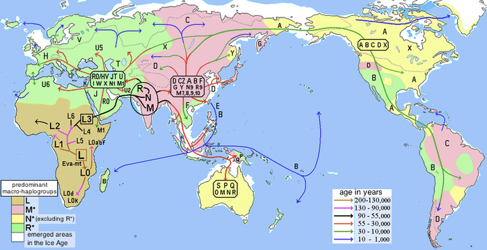 图1. 通过人类线粒体DNA单倍体群分布研究早期人类迁徙路径 | 图片来源：wikipedia.org