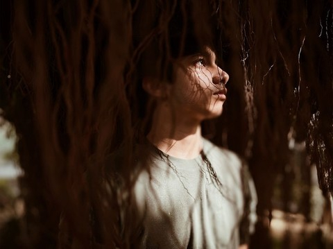 iPhone 12系列应用大量计算摄影功能 应对复杂场所拍摄（图片来自Apple官网）