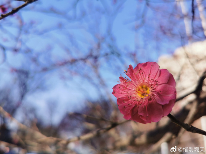 （图：@绪刚观天）