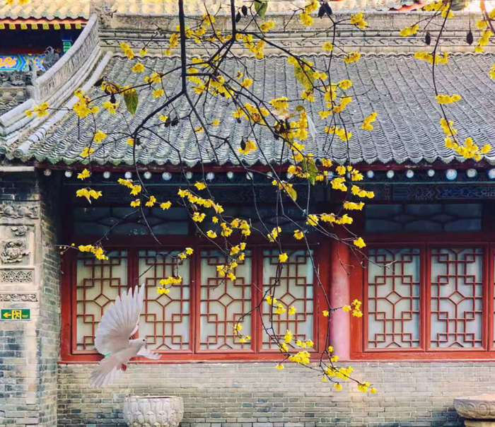  （大兴善寺 图：@Gabrielle）