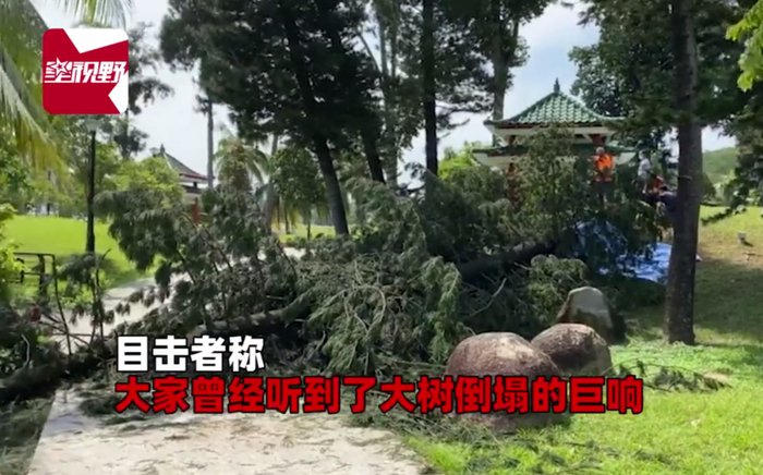 （图片来源▲星视野）