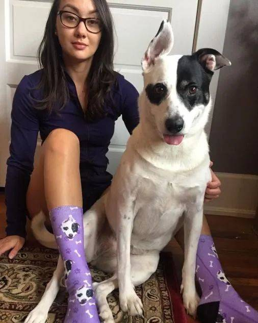 把铲屎官对有毛朋友的喜爱与时尚结合的宠物定制品牌Pup socks