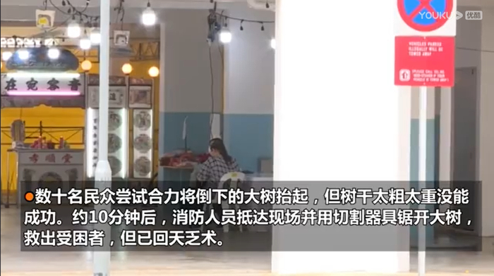 （图片来源▲优酷视频）