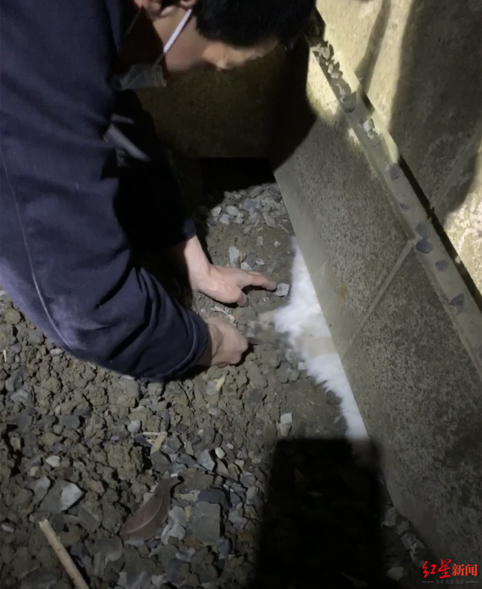 解救一只跳窗出逃后躲在缝隙里的猫咪。
