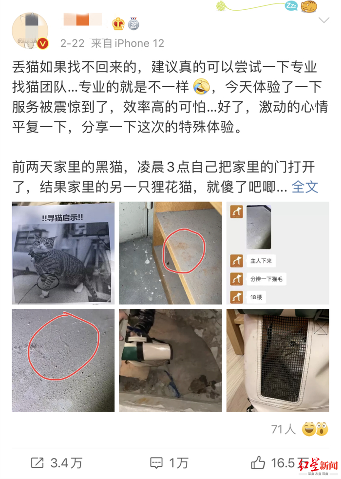 相关博文。本文图片 红星新闻