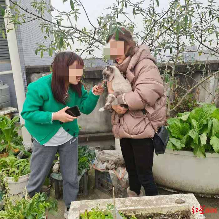  张展飞的小伙伴在成都帮客户找到走失猫咪。