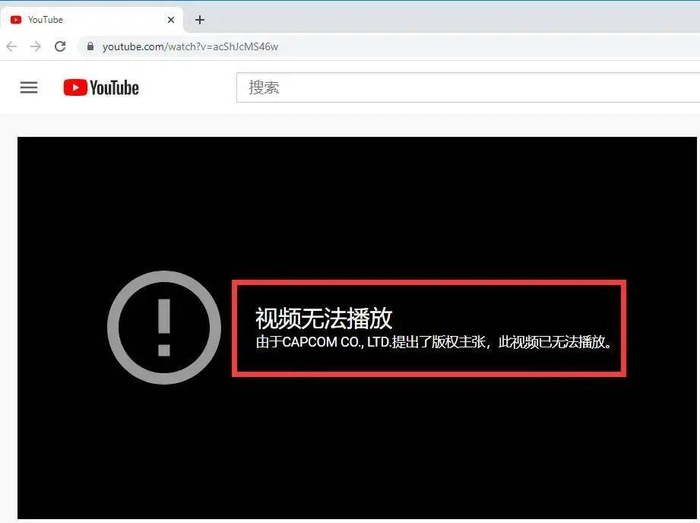 卡普空的版权警告                 