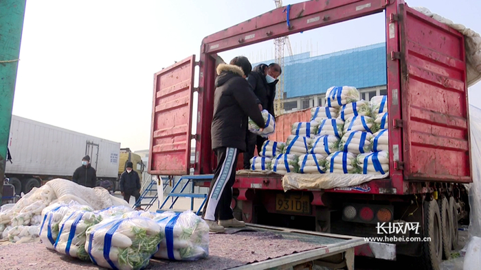      商户梁亚超是河北新发地的一级批发商，也是市场里的白萝卜大王。河北新发地供图