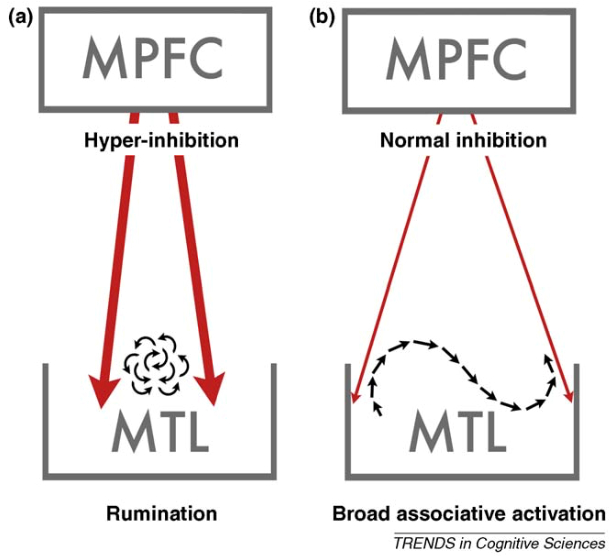（核心子系统对内侧颞叶子系统的过度控制导致反刍思维）