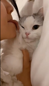 △小猫咪：我脏了|来源：@郭斯特