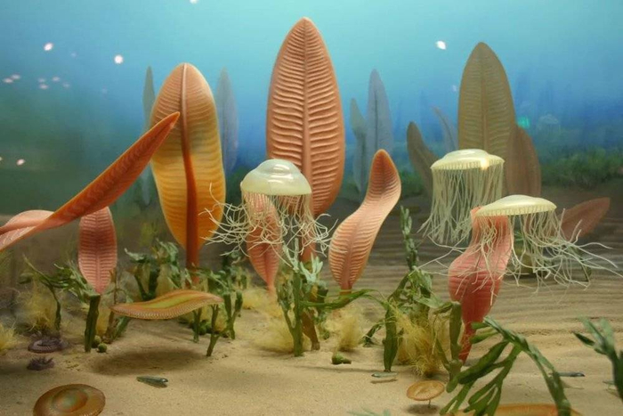 埃迪卡拉时期生物群复原图| Ryan Somma
