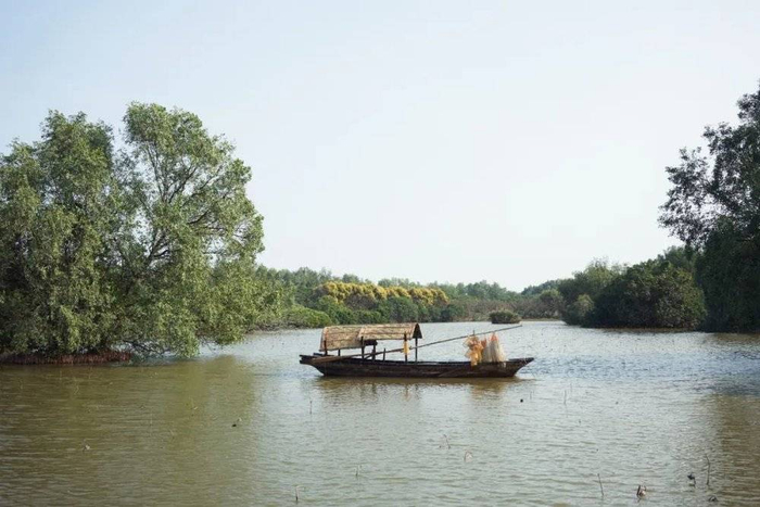 △南沙湿地公园/作者供图