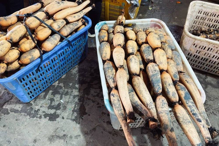 △吃藕人懂的颜值/作者供图