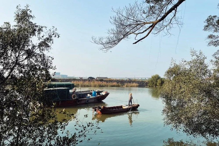 △芭蕉林和水上人家构成南沙水乡景致/作者供图
