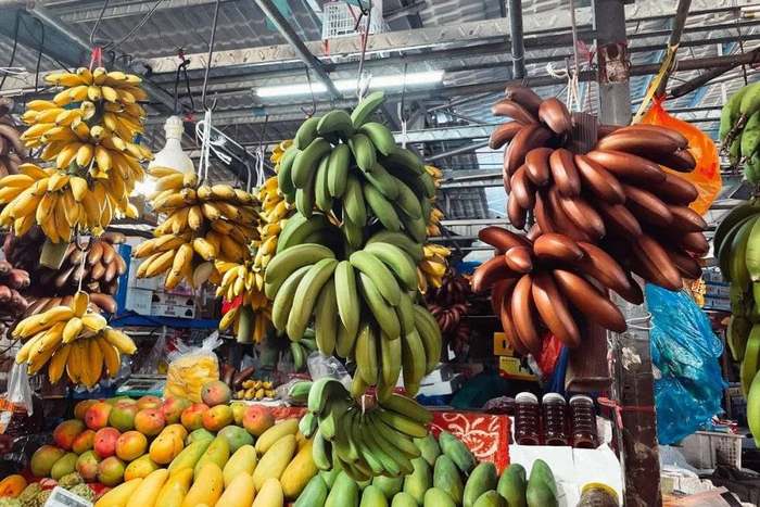 △南沙真的到处都是蕉，黑红色的就是火龙蕉/作者供图