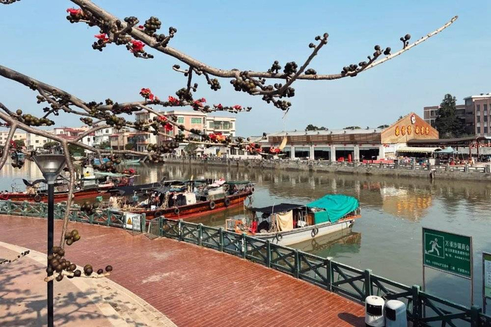 △在十四涌桥上随处能见渔民的痕迹/作者供图