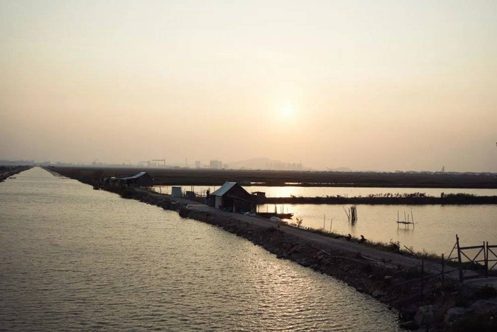 △万顷沙一带的水乡风光/作者供图