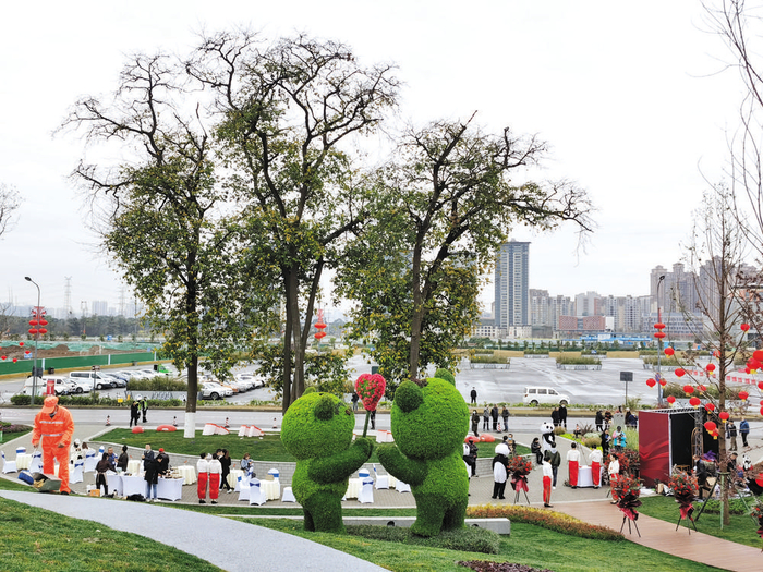 熊猫小镇红豆古树公园开园迎客