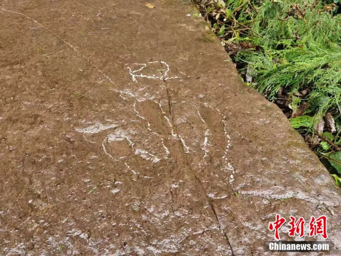 杨哲睿发现的恐龙足迹。邢立达 供图