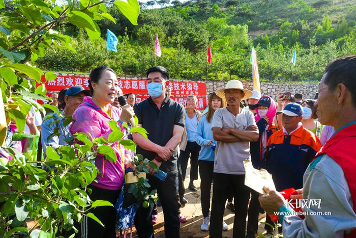 郭素萍和李保国科技志愿扶贫队成员对果农进行果树栽培技术指导。